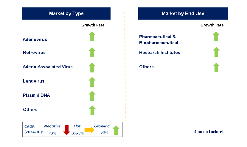 Viral Vector Manufacturing by Segment